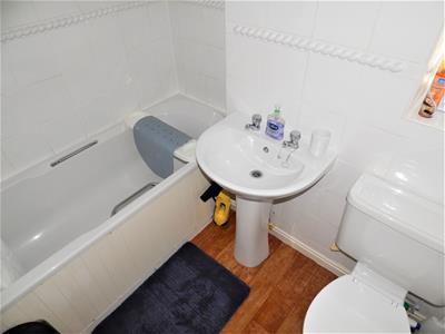 Picture 11